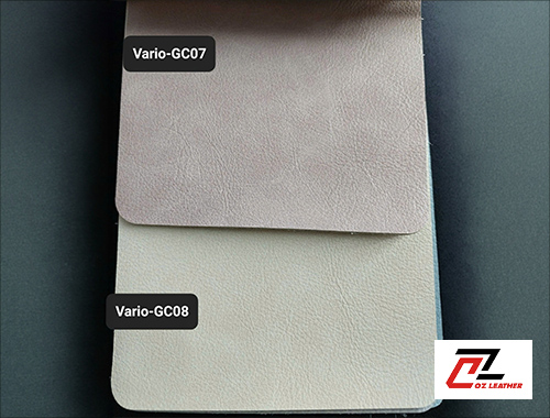 Da Vario